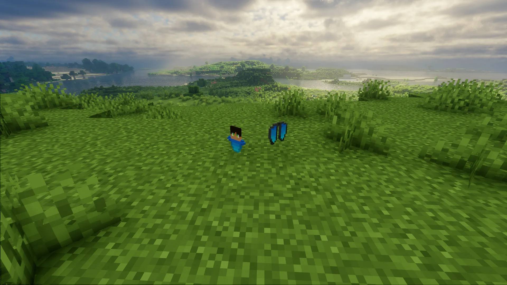 Предметы из ресурс-пака Dev's Pack