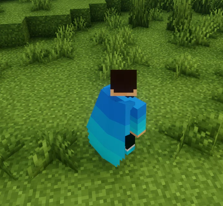 Модель элитр из ресурс-пака Dev's Pack