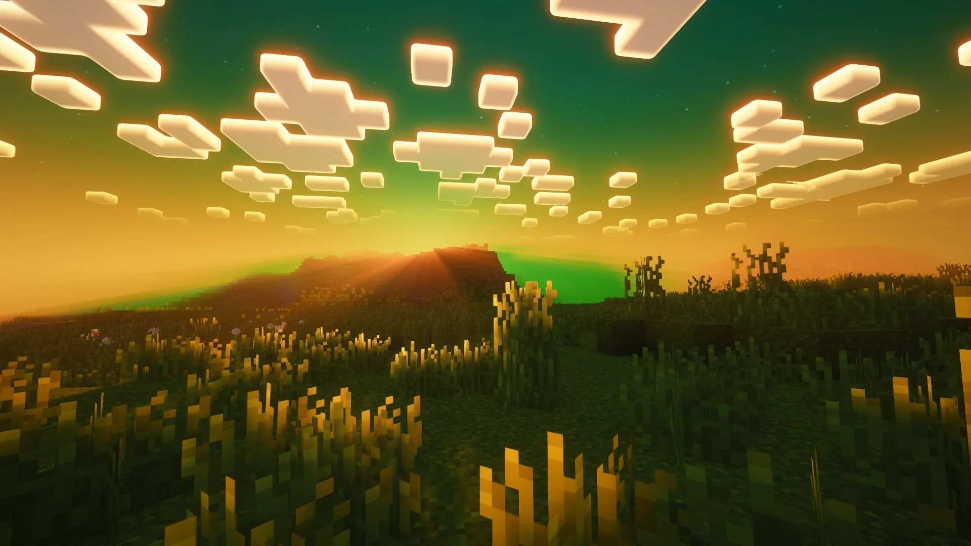 Закат над Jooonah's Grove