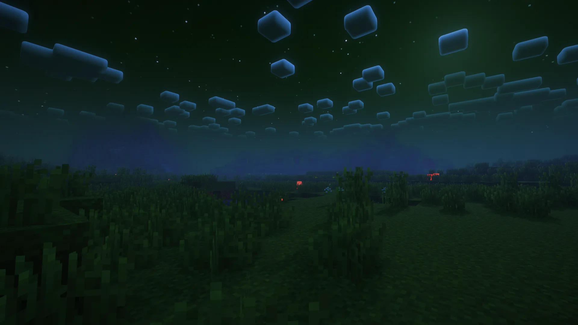 Ночное время в Jooonah's Grove.