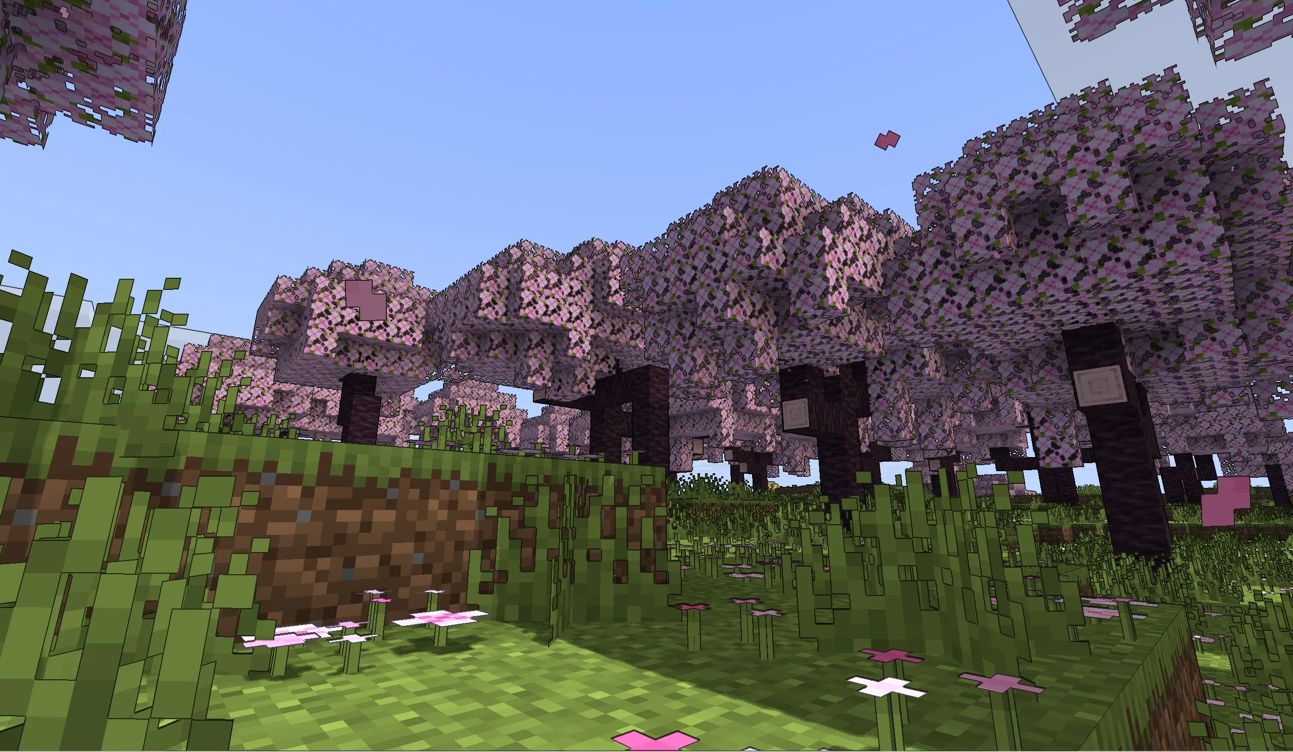 Сакура с контурным шейдером.