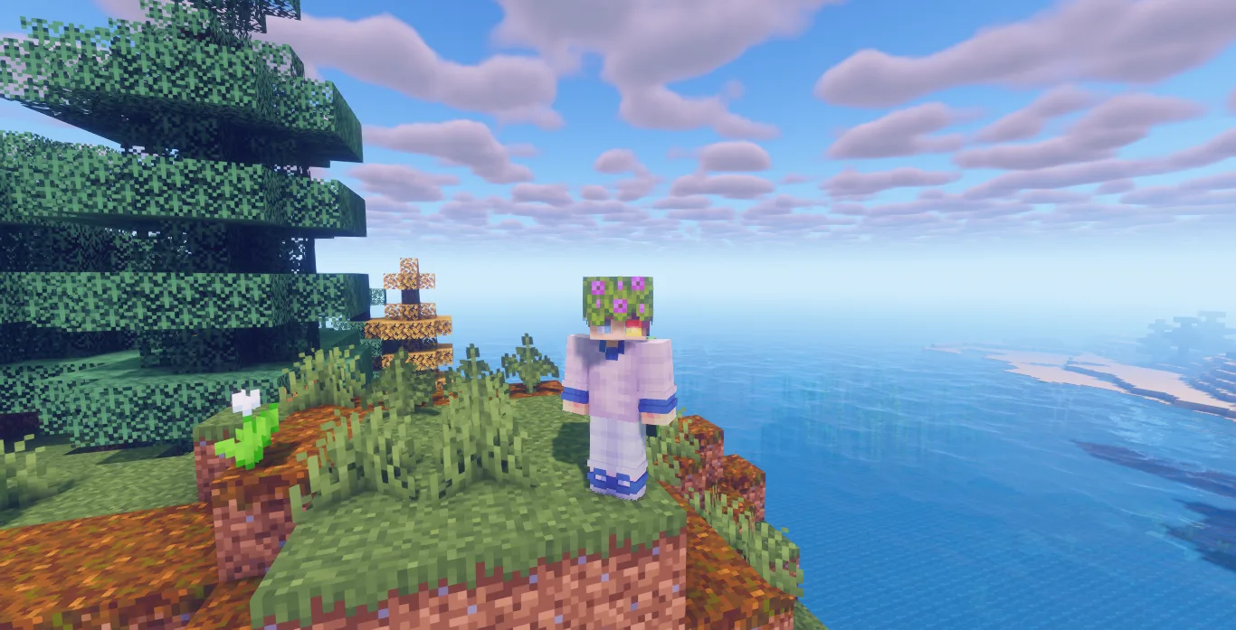 Интерфейс мода Server /hat