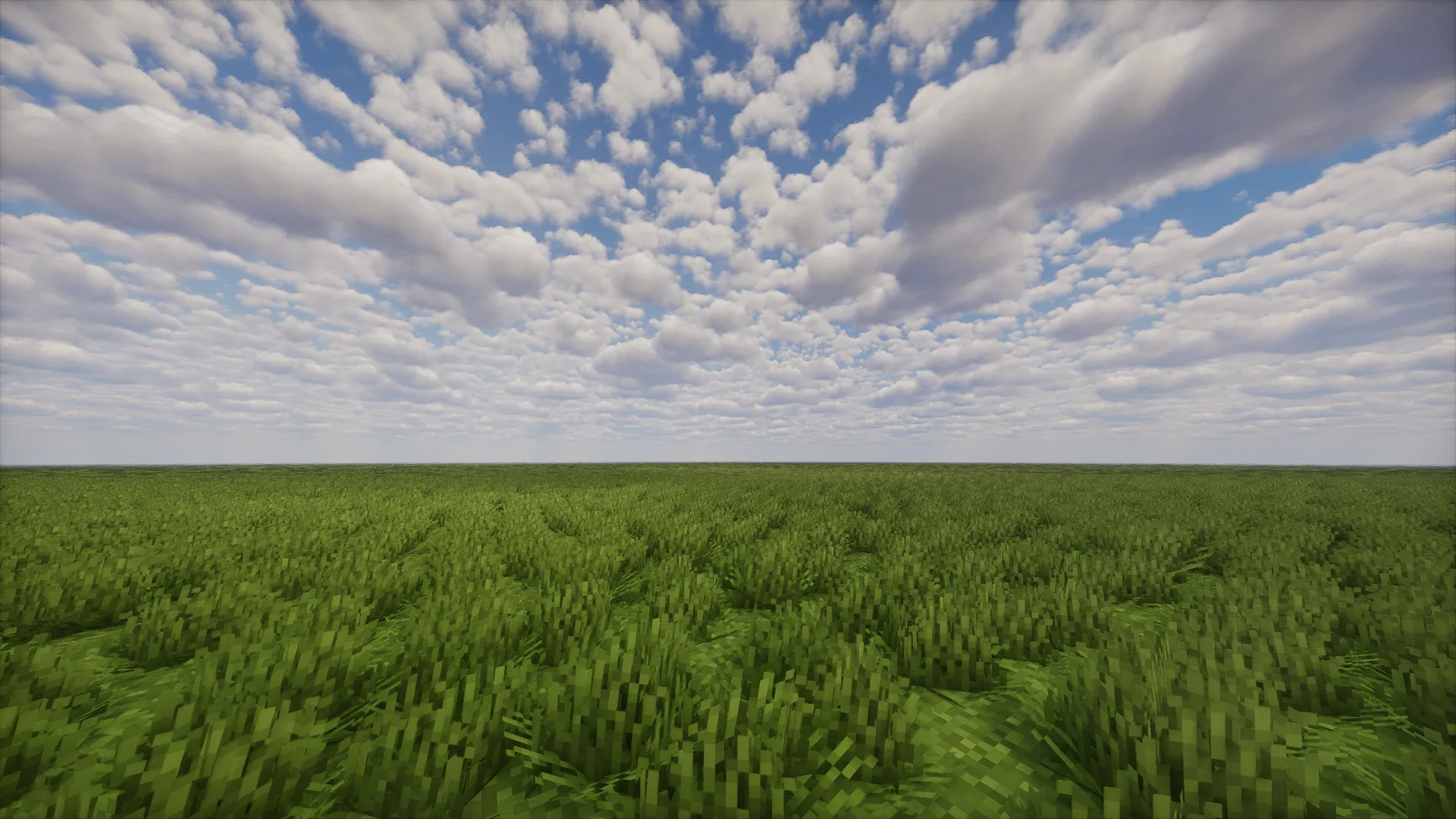 Травяное поле в ресурс-паке Voluminous Grass