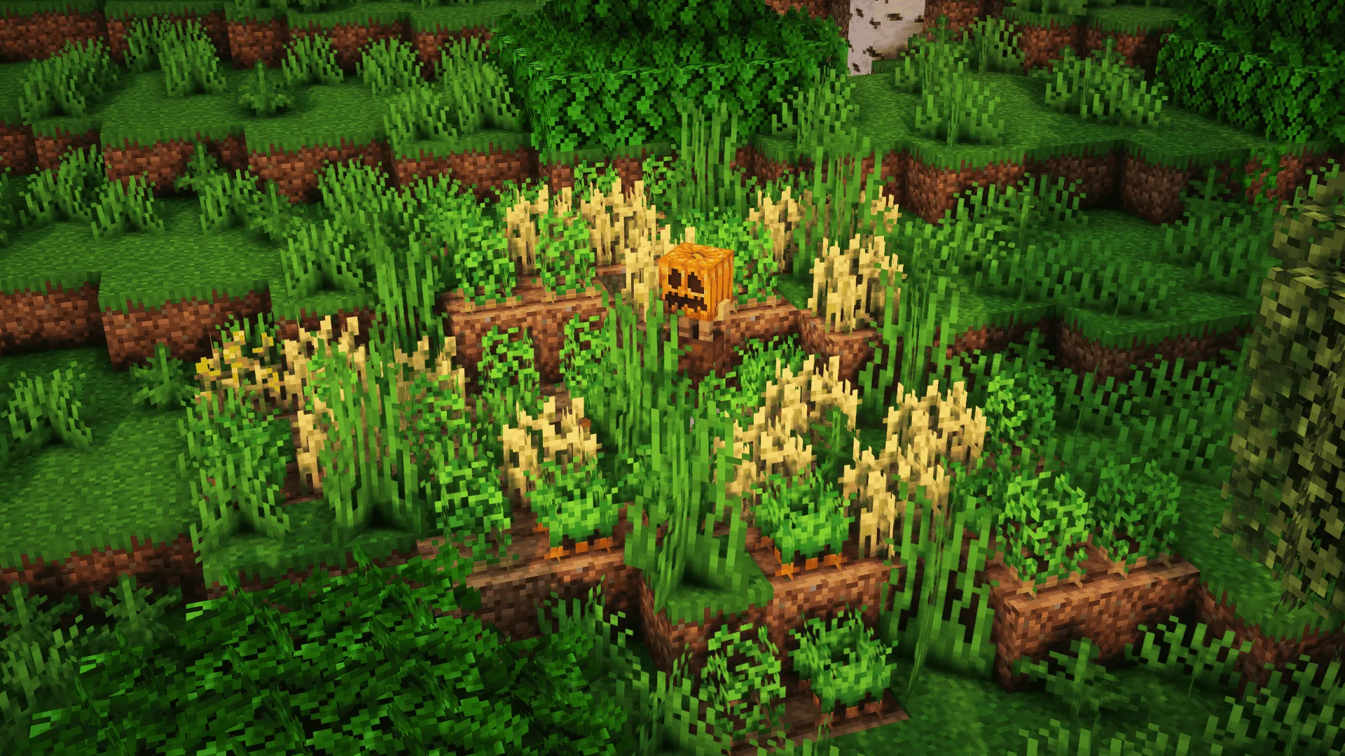 Заброшенный сад в стиле проекта Trek.