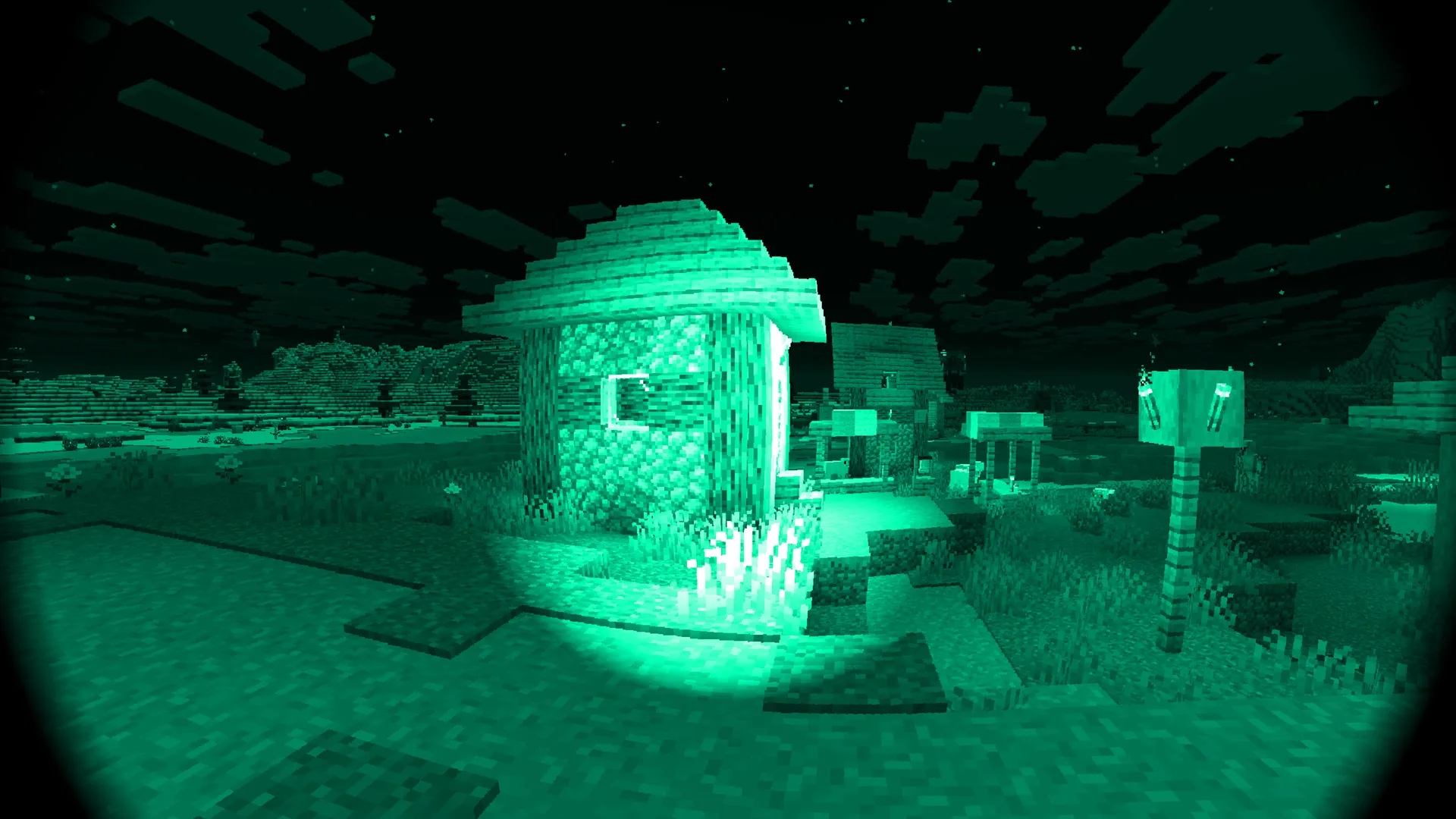 Деревня с аутентичным ночным видением.