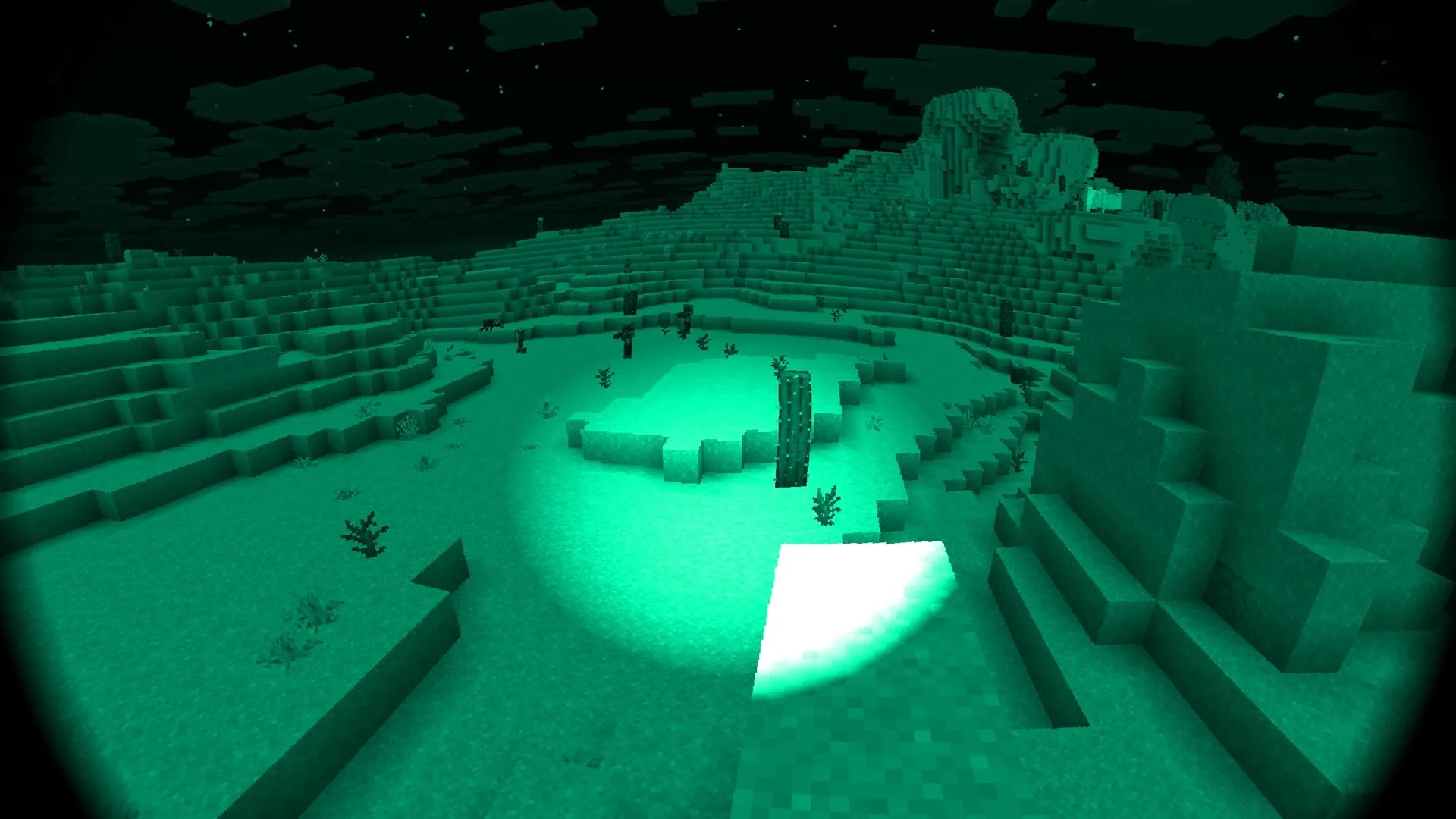 Пустыня ночью с аутентичным ночным видением.