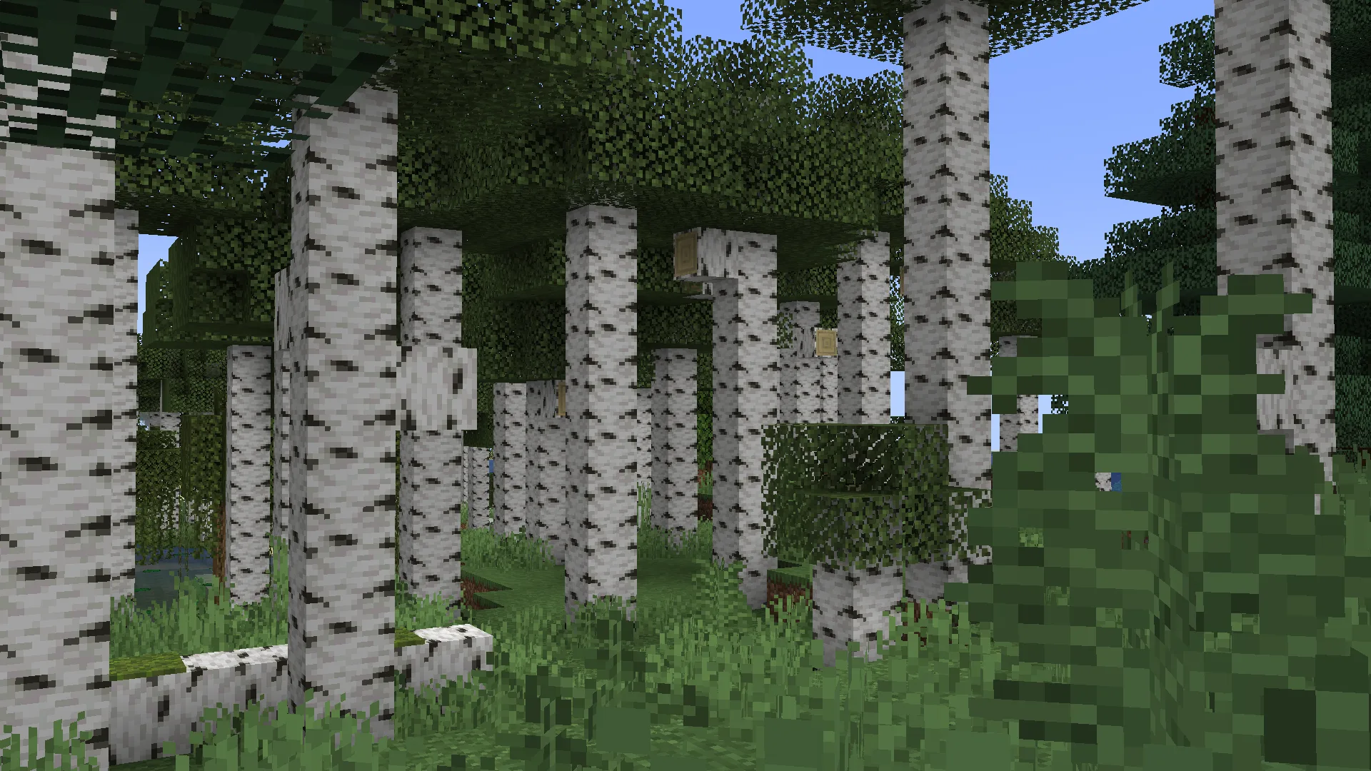 Березовый лес с густой листвой в моде Geophilic.