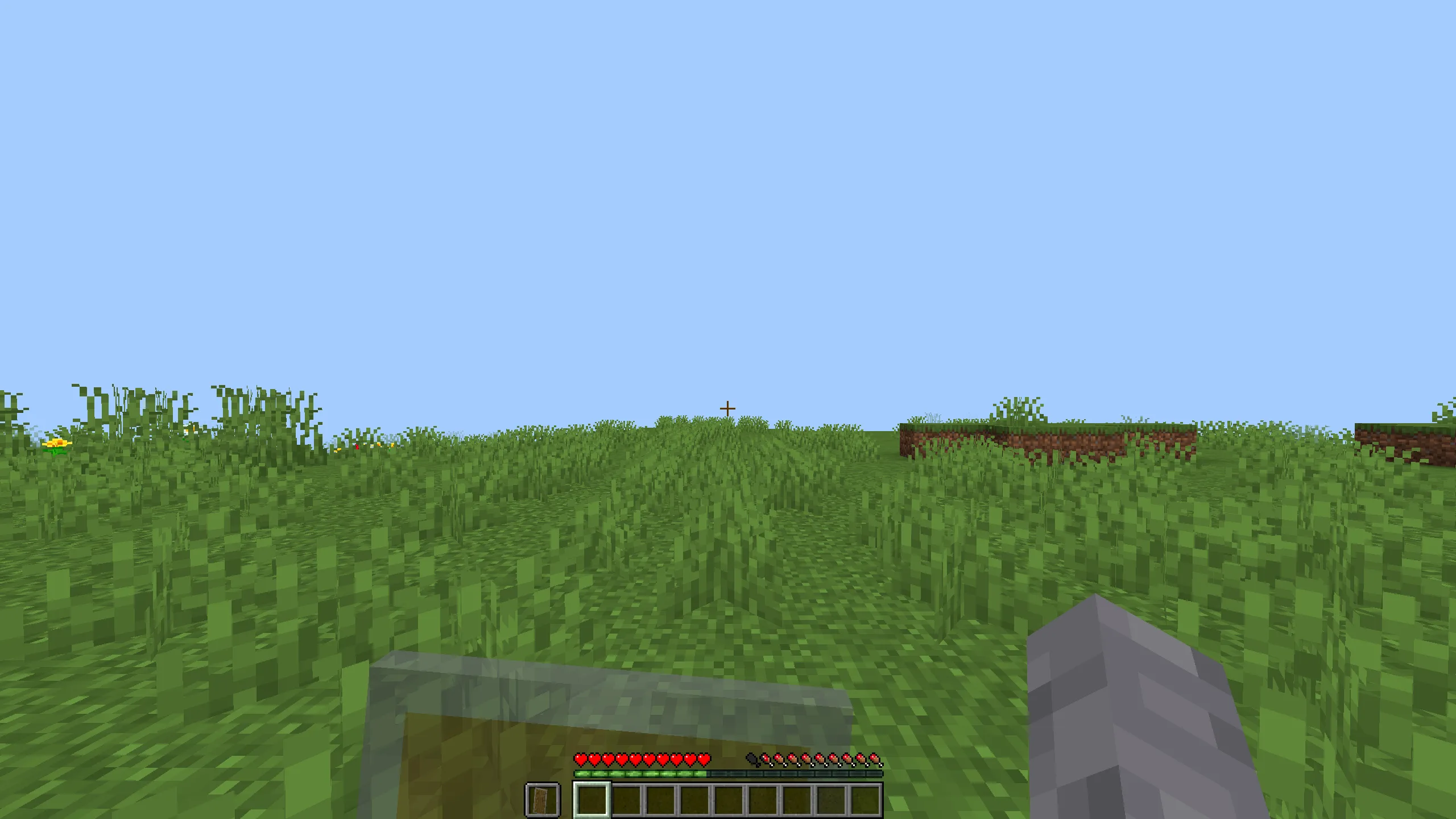 Игрок держит прозрачный щит в левой руке.