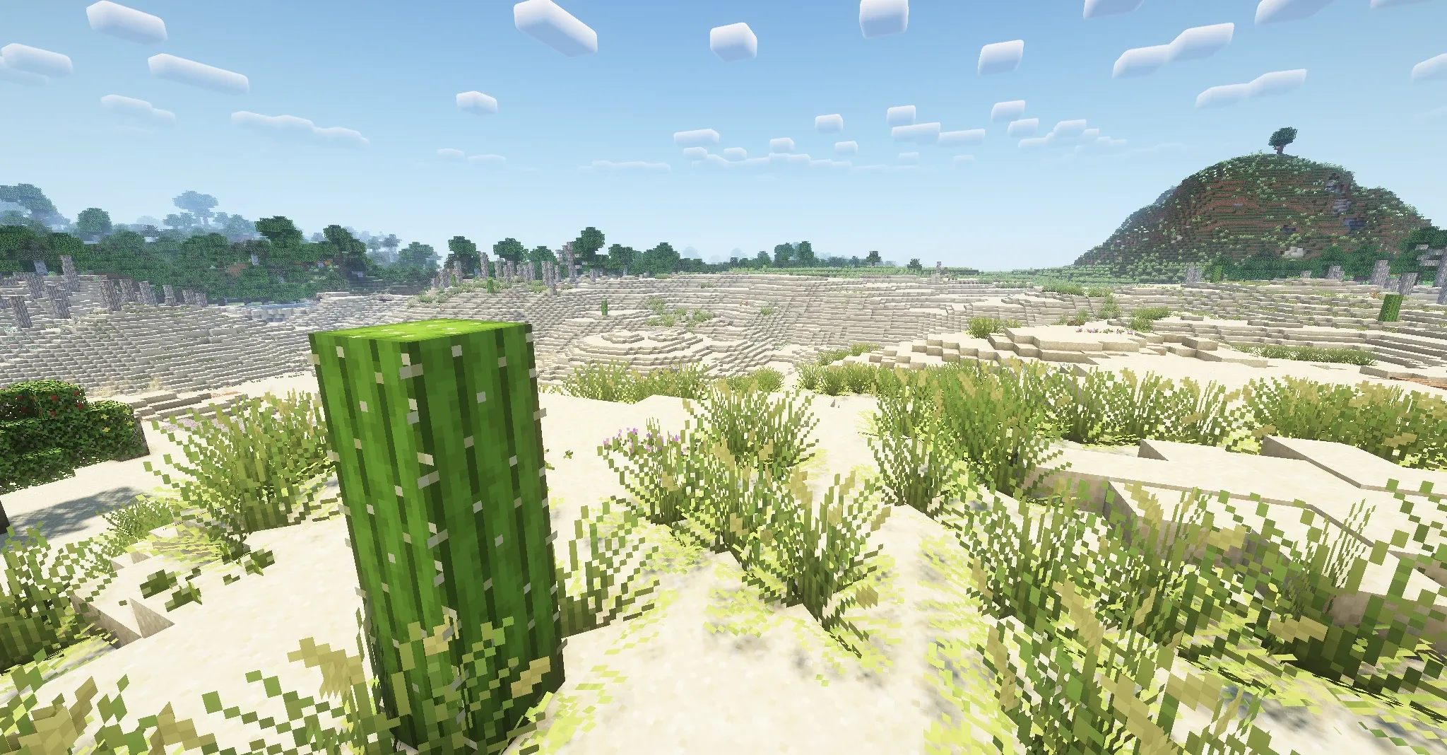Декоративные травы у фонтана в Minecraft с использованием шейдеров Rethinking Voxels.