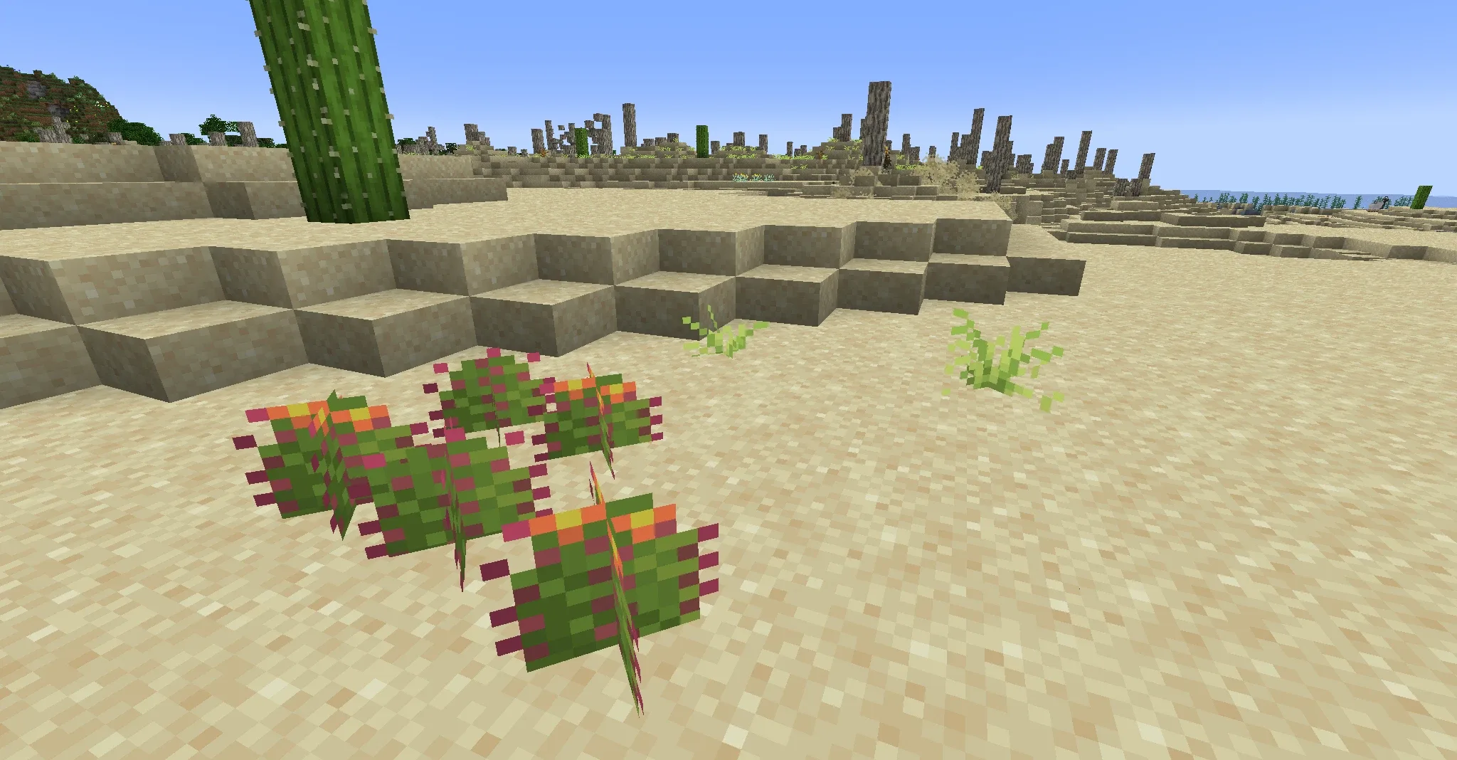 Кактус-бочка из мода Desertification, наносящий урон и замедляющий игрока.