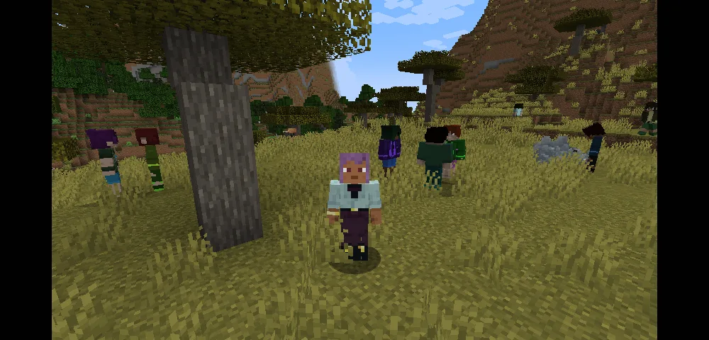 Игровые персонажи-тренеры из мода Radical Cobblemon.