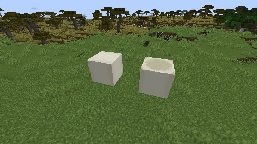 Сравнение блока Bone Bone Block и обычного костяного блока