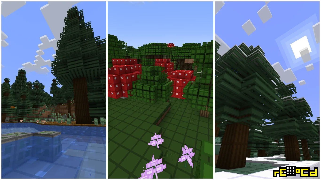 Ландшафт проекта rE-oCd: биомы еловой тайги, темного леса и заснеженной тайги.