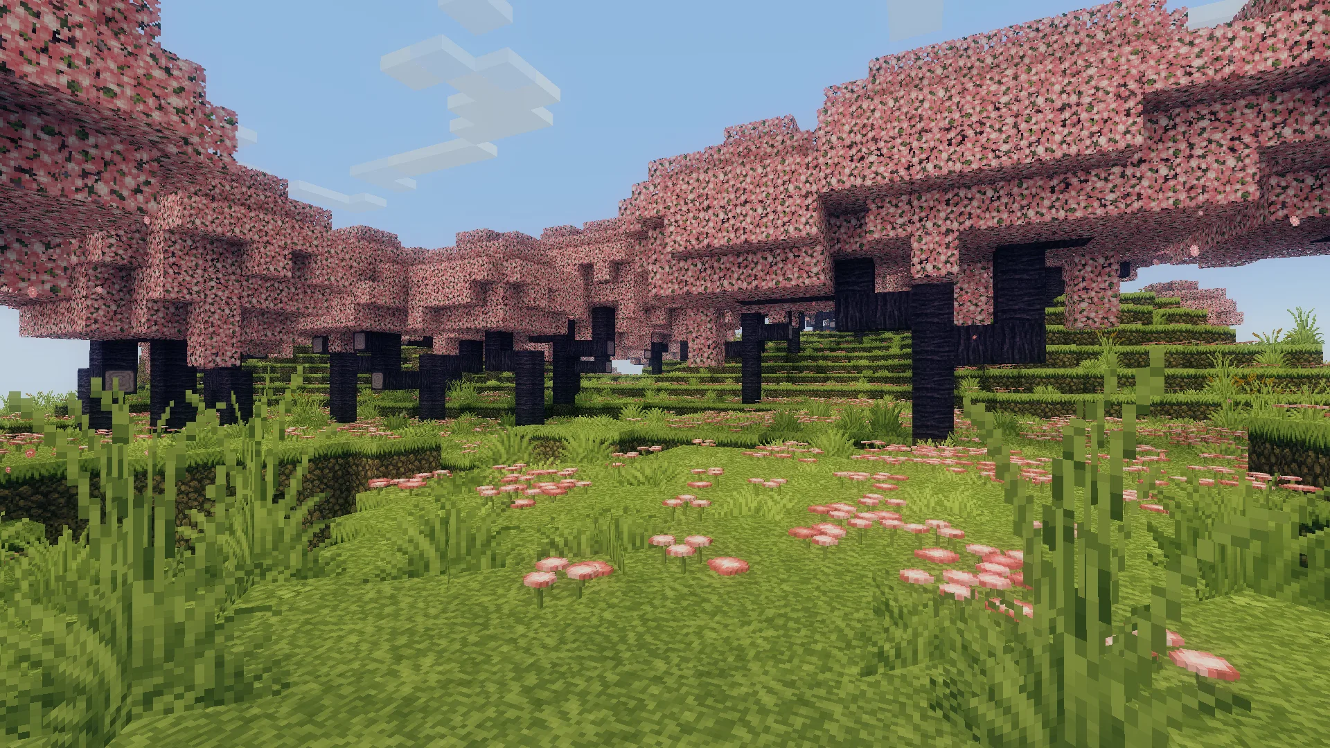 Кинематографическая цветокоррекция для вишневой рощи с ресурс-паком John Smith Legacy.