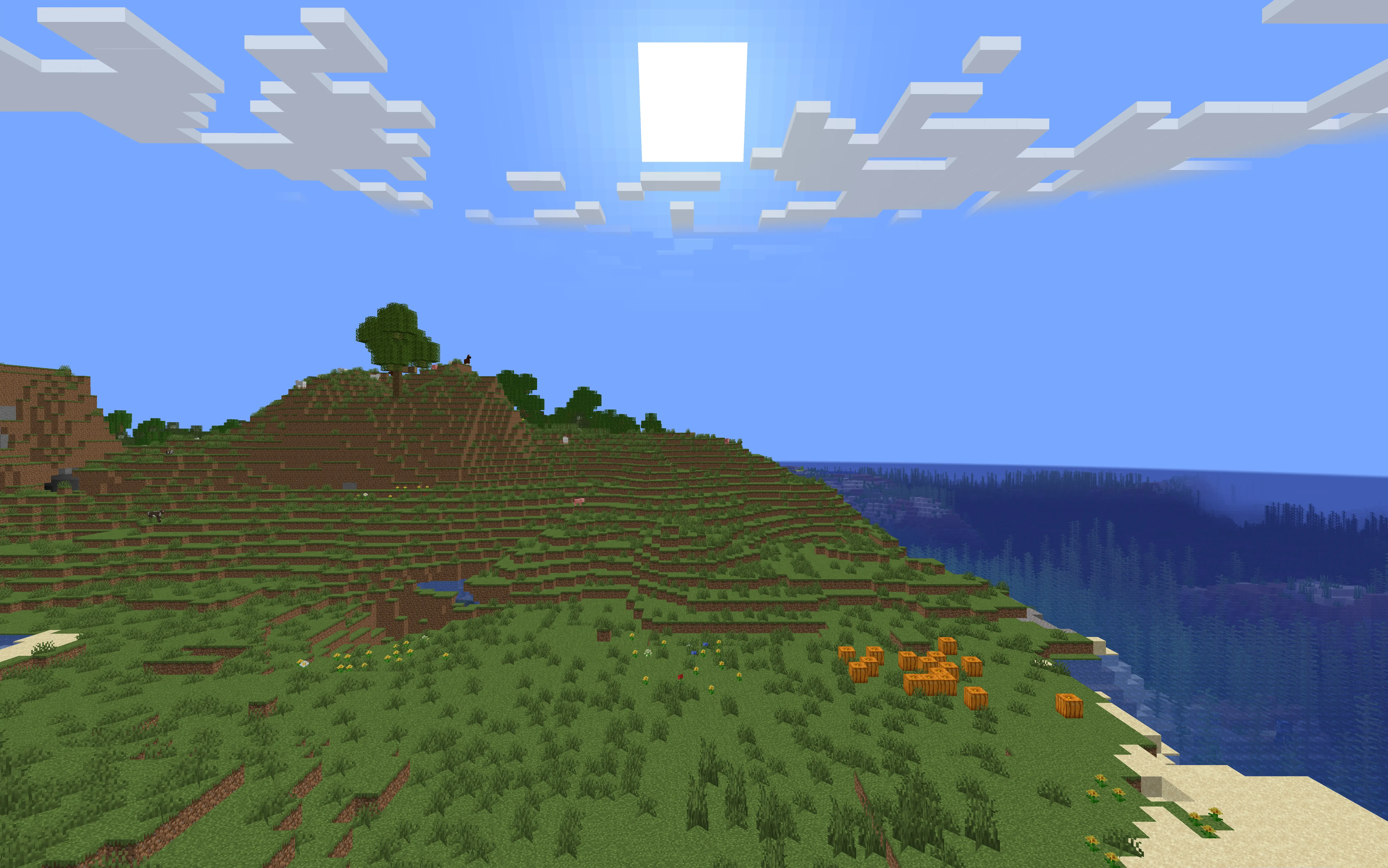 Интерфейс мода Zume с неактивной функцией приближения вида.