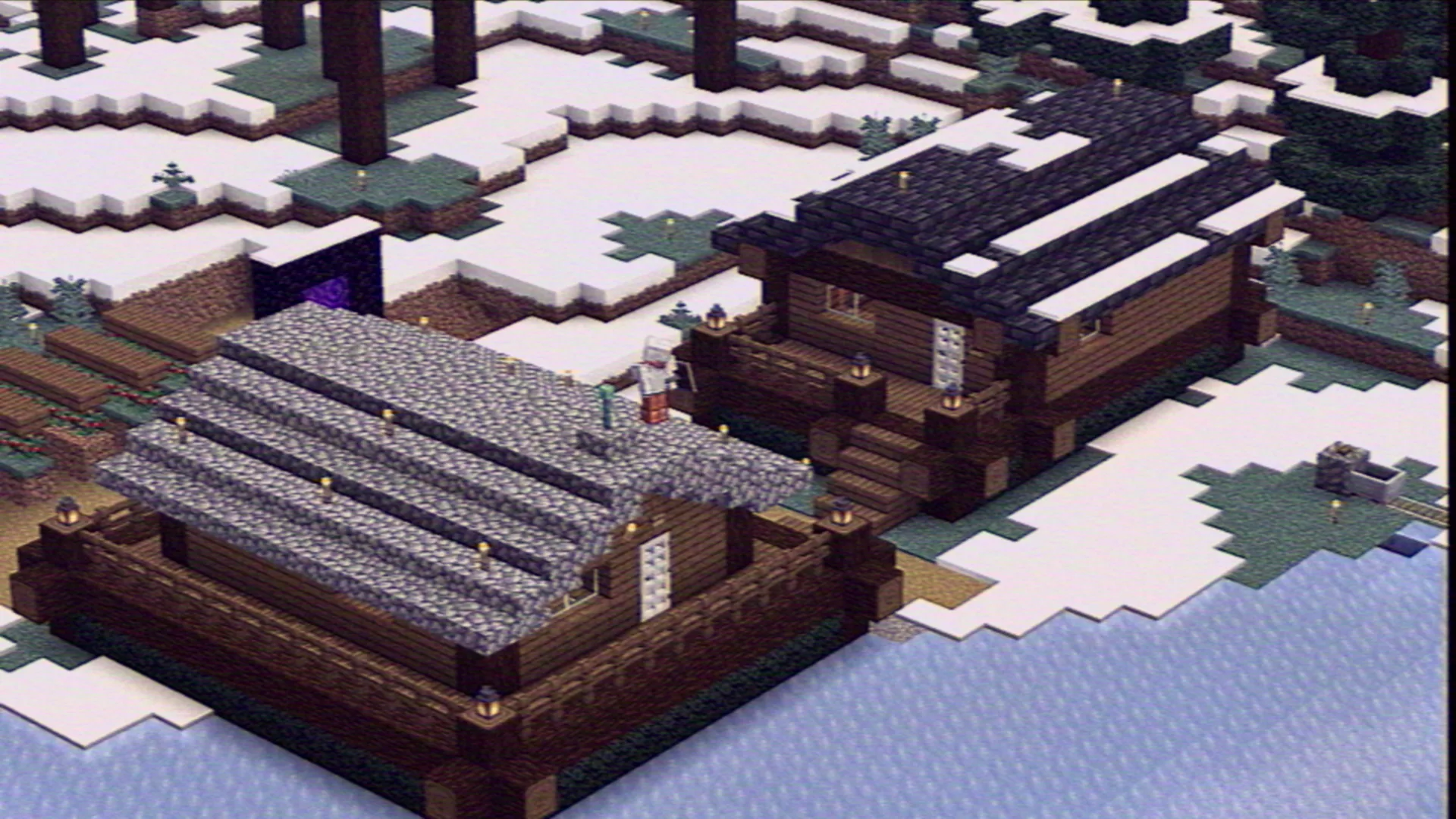 Вид с воздуха на дом выживания RITEG-VHS с шейдерами.