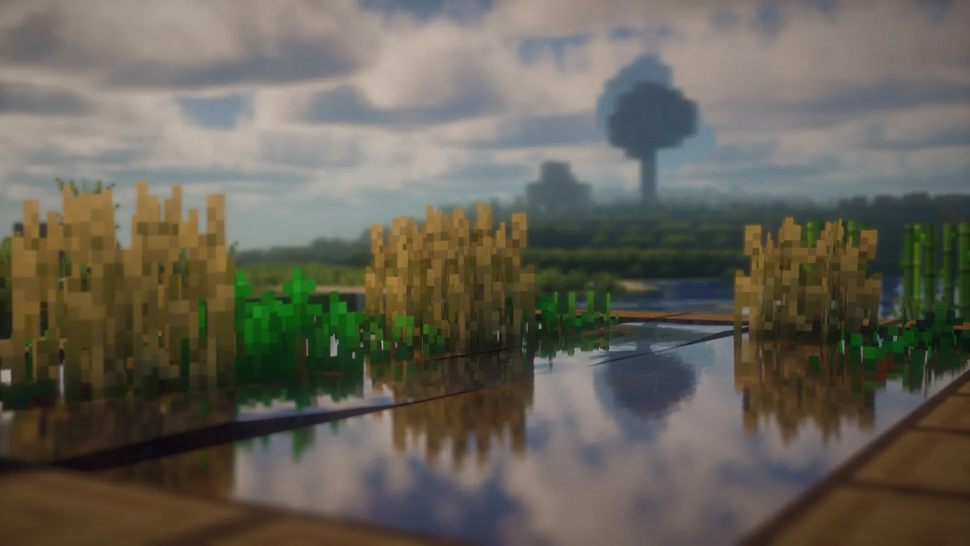 Turtle Shaders: отражения в воде