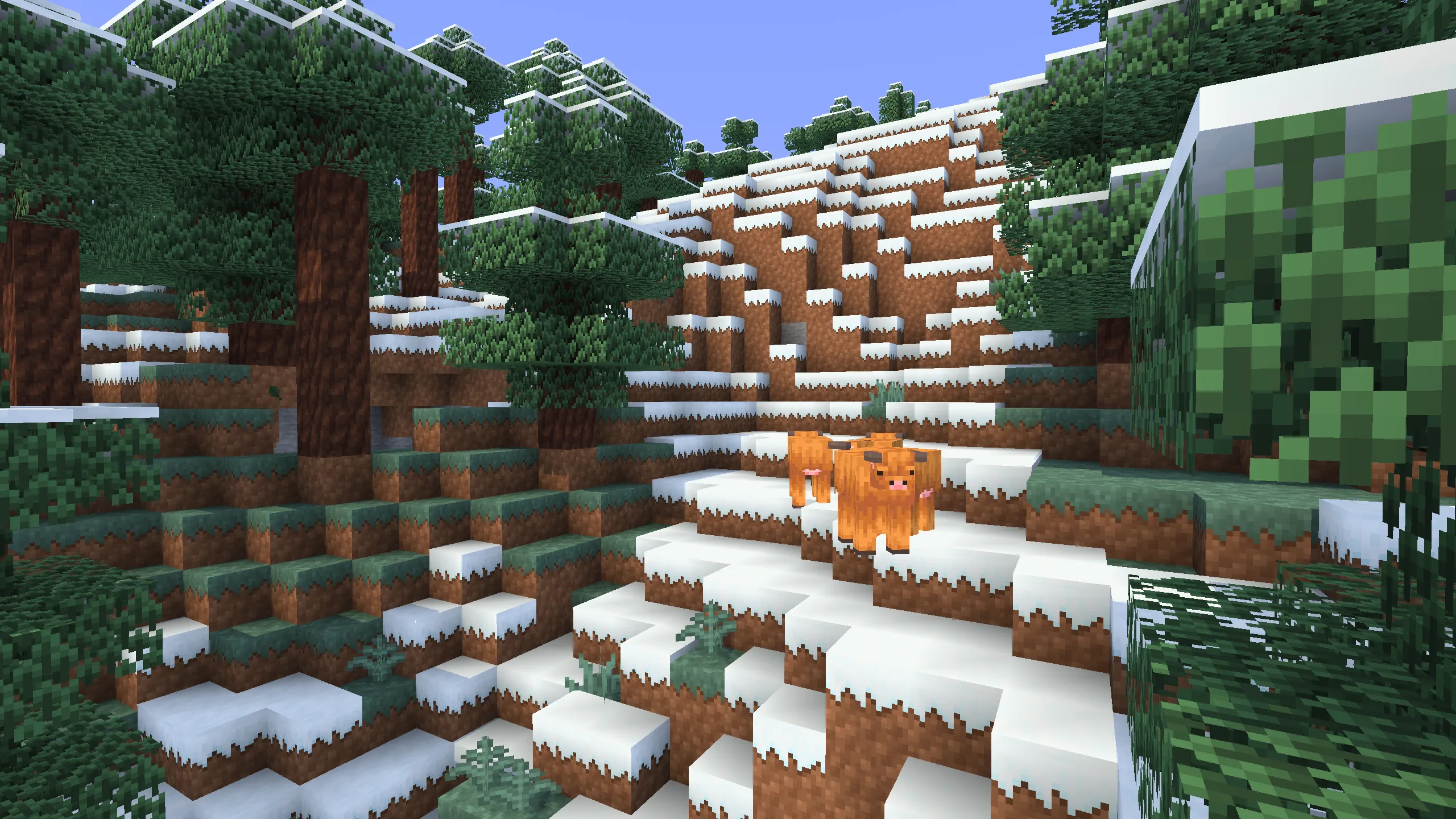 Снежный биом тайги в Minecraft.