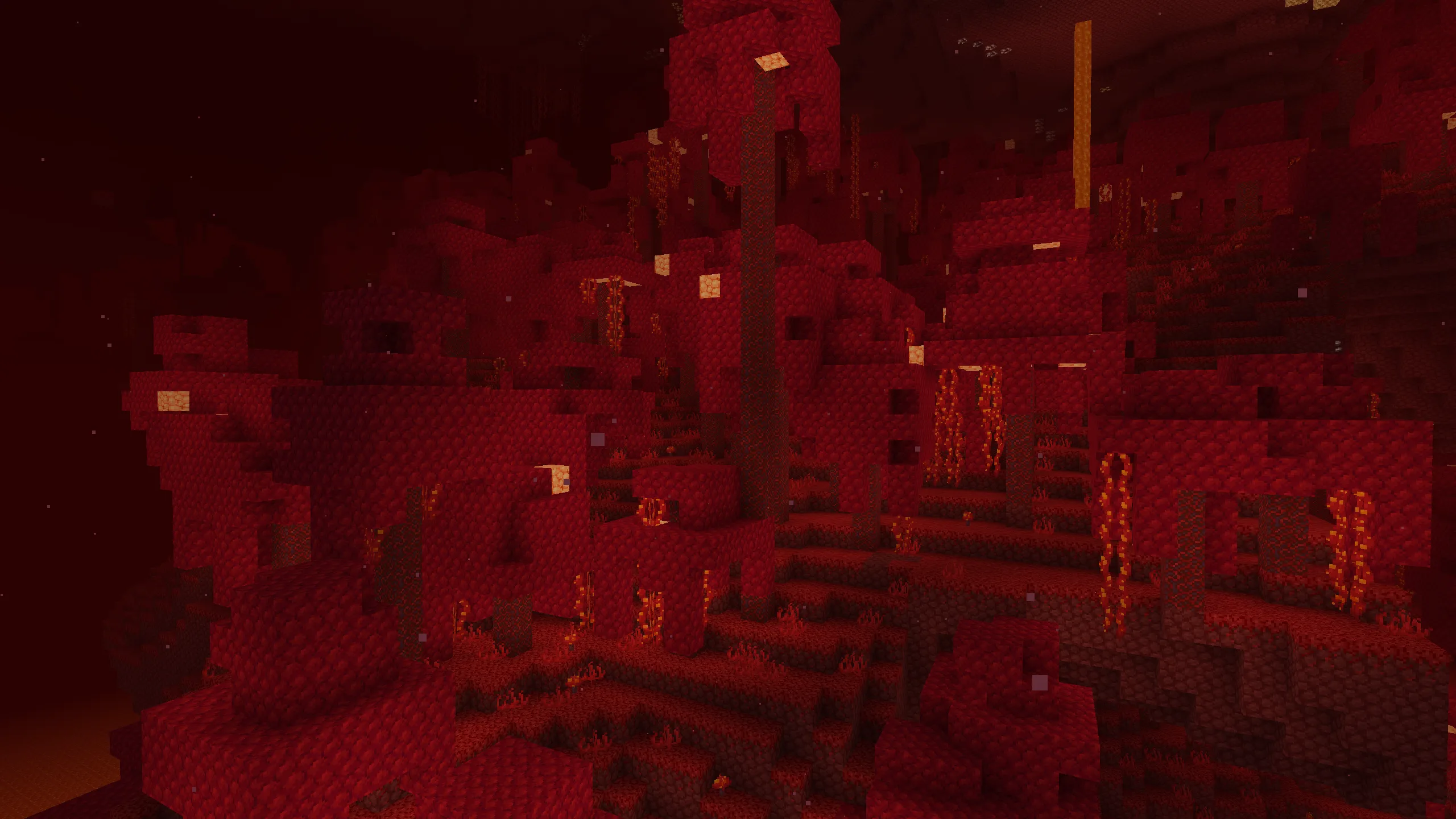 Багровый лес из Minecraft.