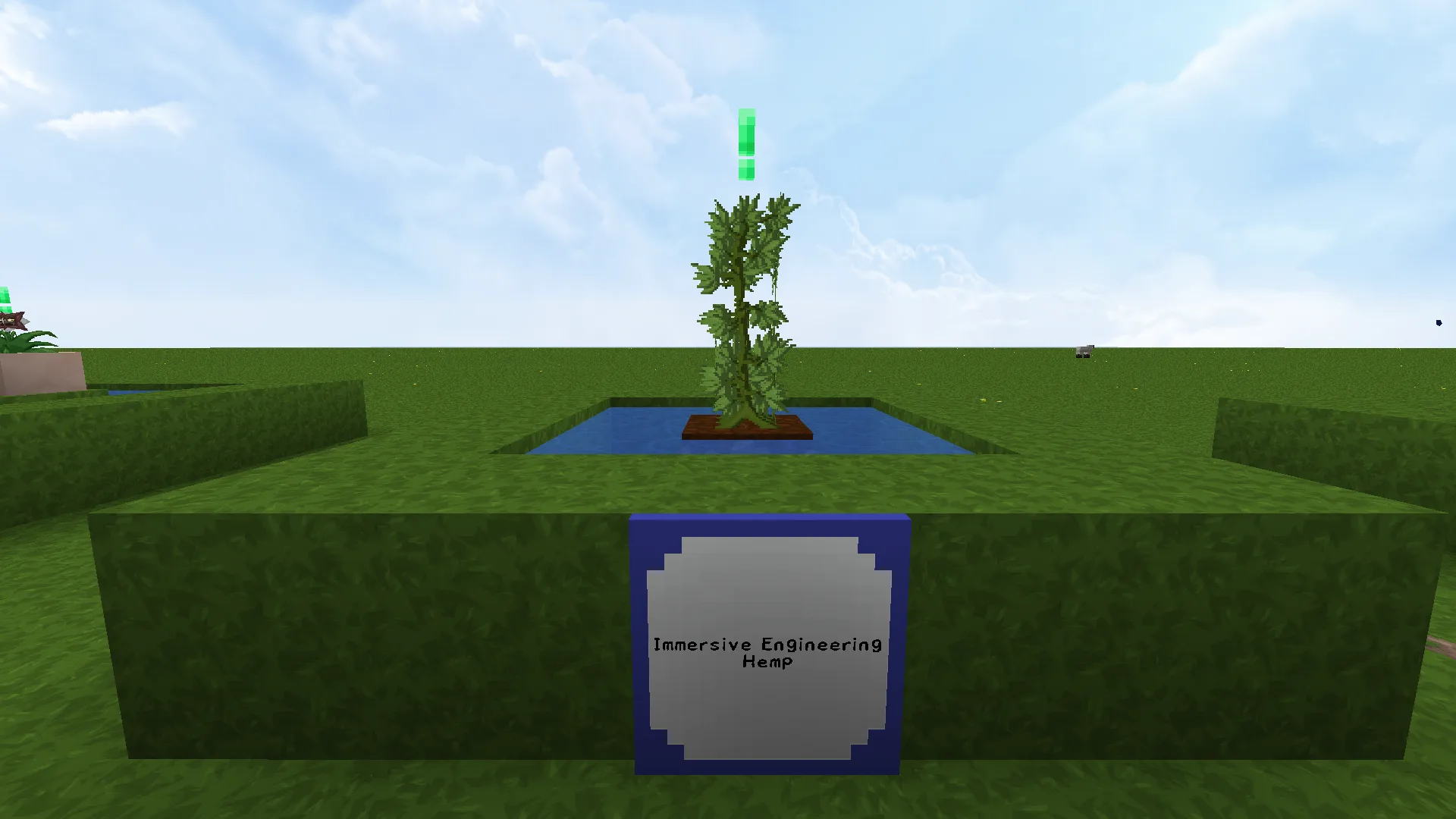 Посевы конопли из мода Immersive Engineering в Minecraft.