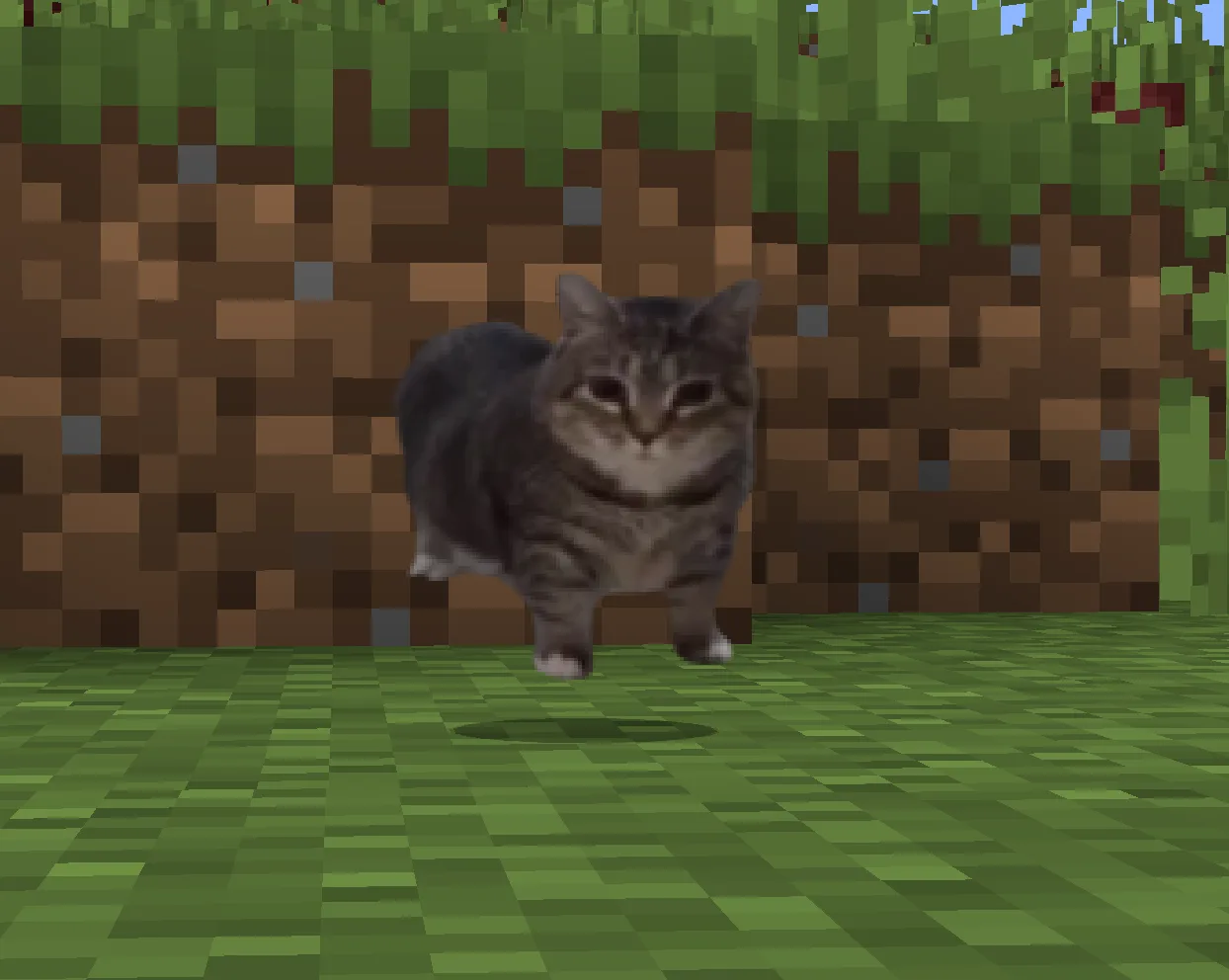 Тотем белого кота из мема OIIAOIIA в стиле Minecraft.