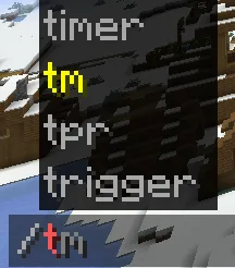 Команды /tpr и /timer в моде Command Modification