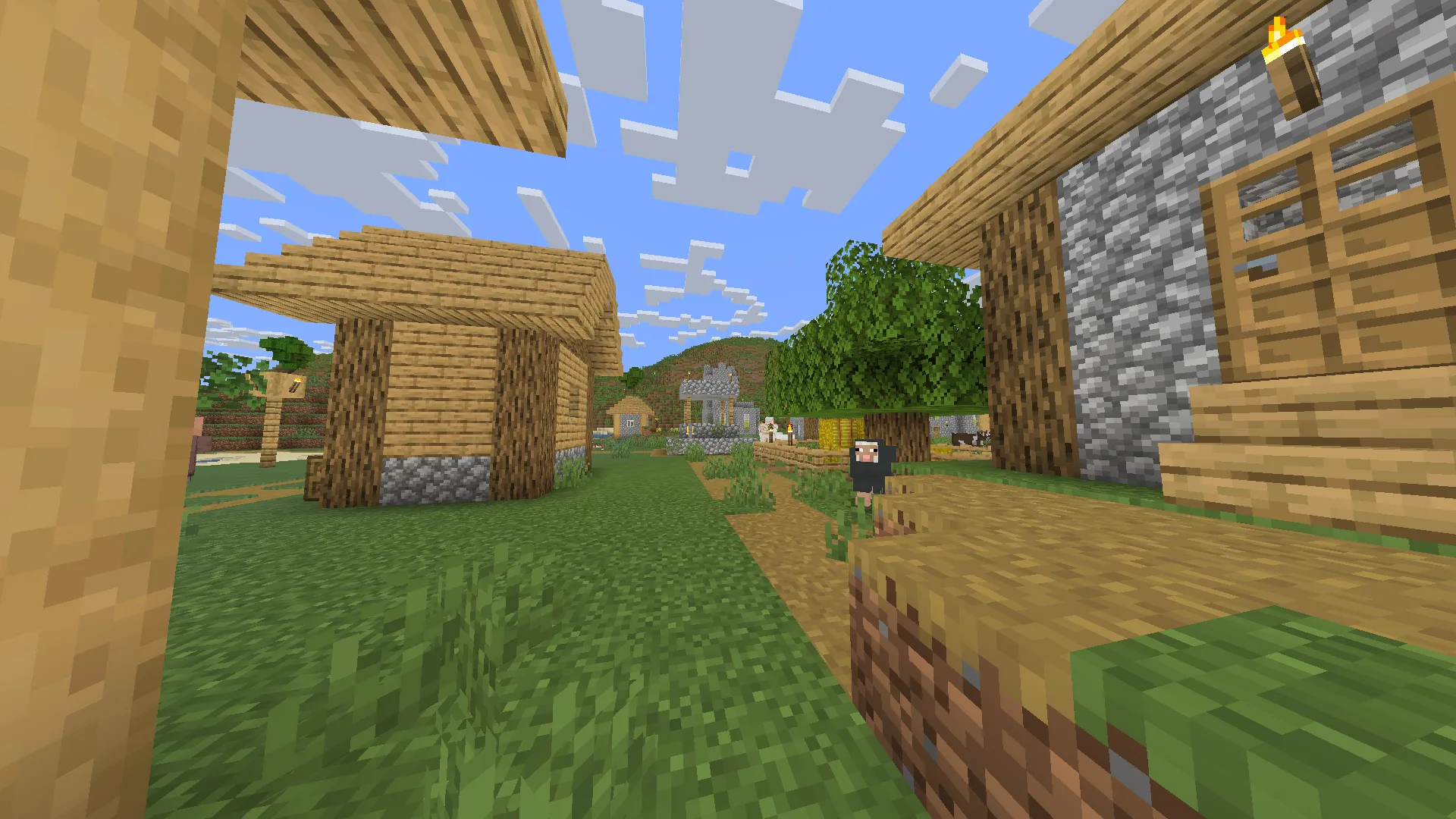 Деревня в биоме равнин без освещения.