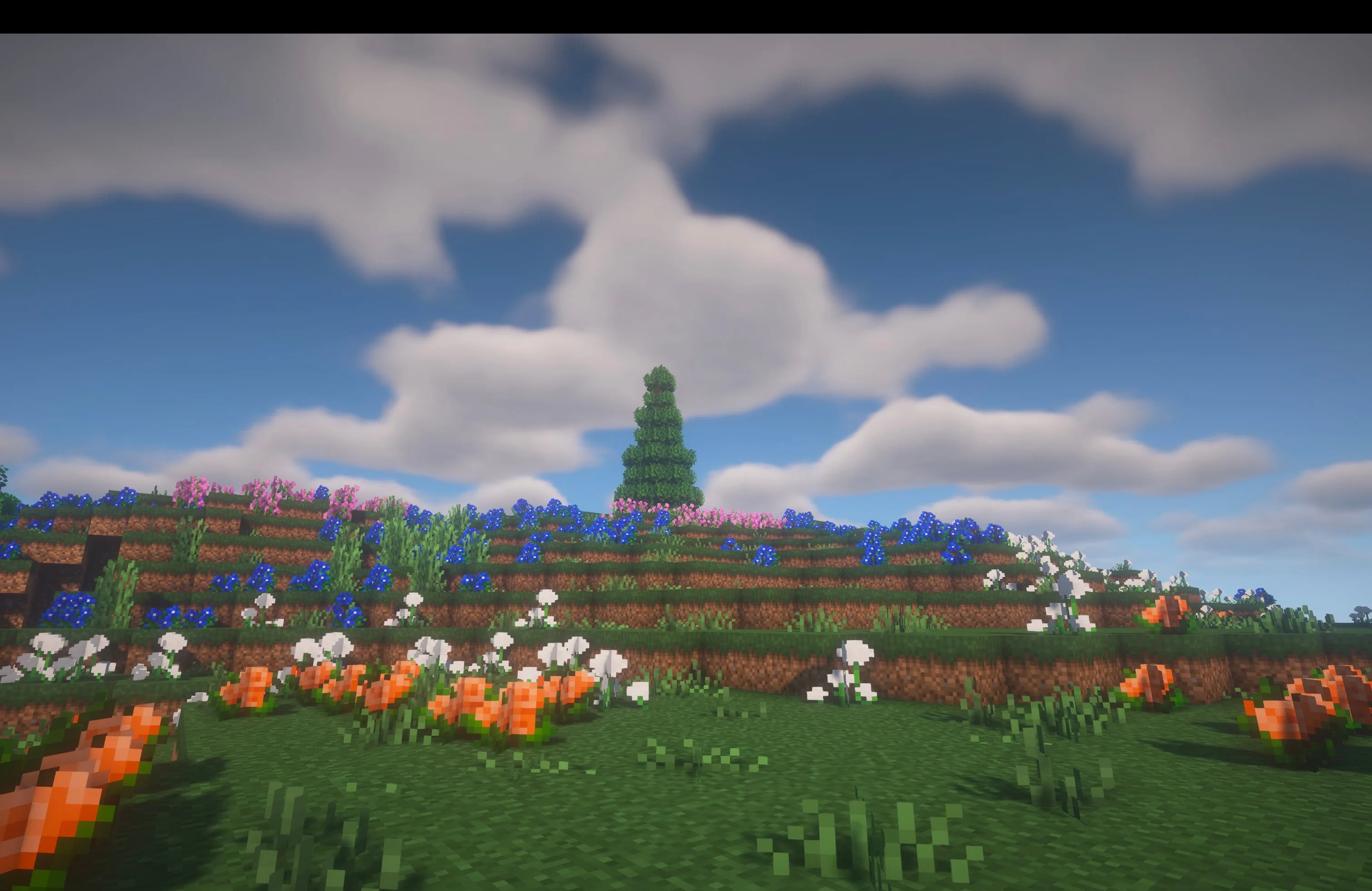 Обновленный биом Meadow с множеством альпийских цветов и густой растительностью.