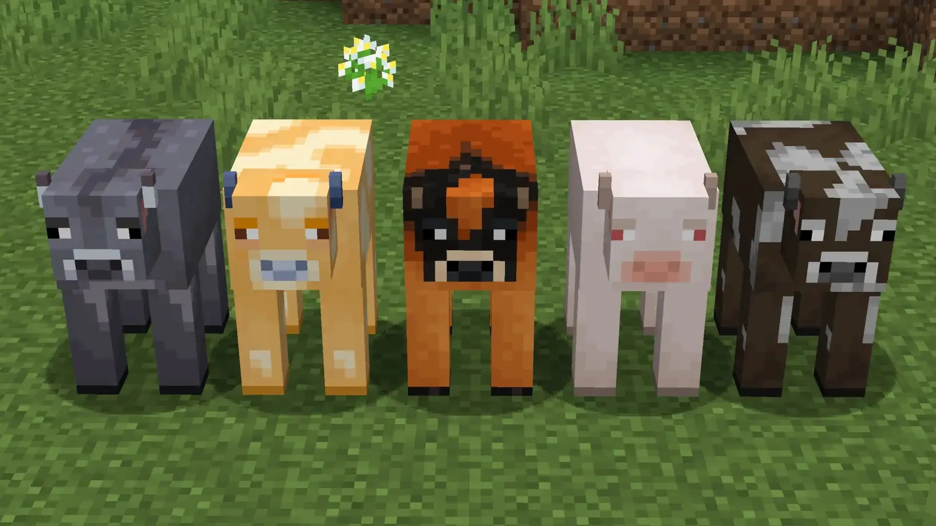 Случайные текстуры коров из ресурс-пака Example Random Entity Textures