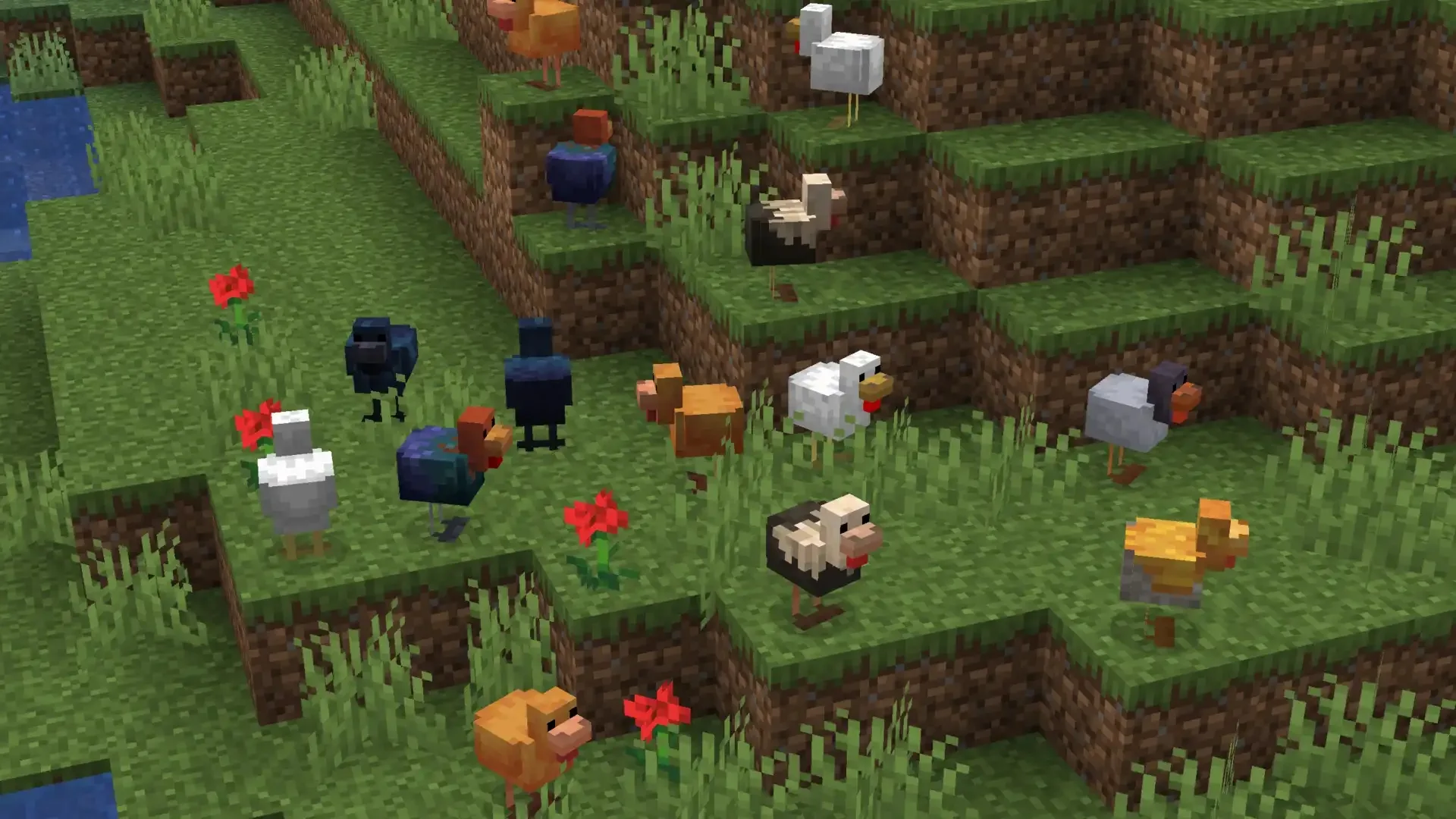 Случайные текстуры куриц из ресурс-пака Example Random Entity Textures