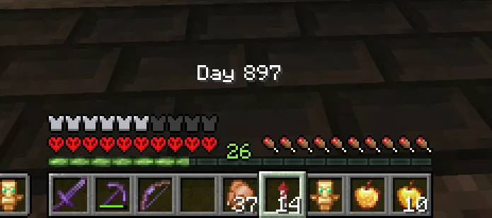 Пример работы мода Day Counter в игровом интерфейсе Minecraft.