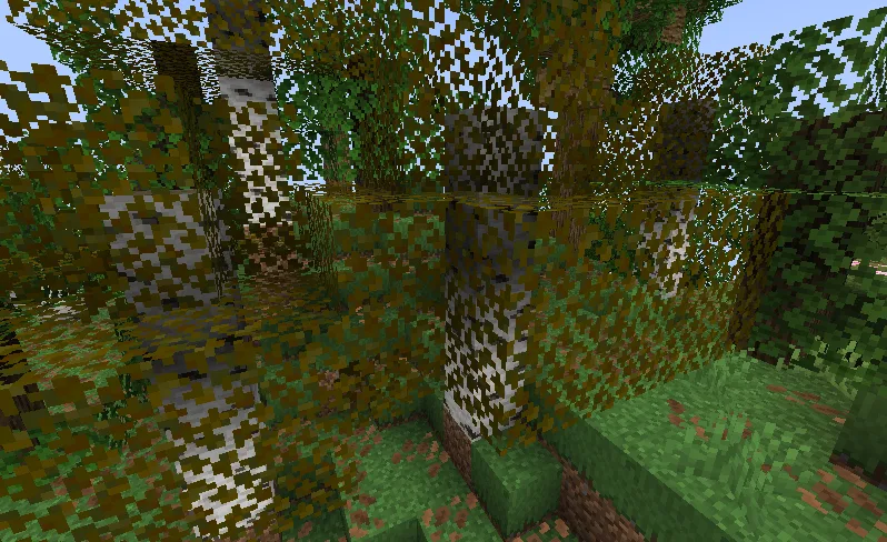 Оранжевая листва берез в ресурс-паке Reshaped Vanilla (без шейдеров).