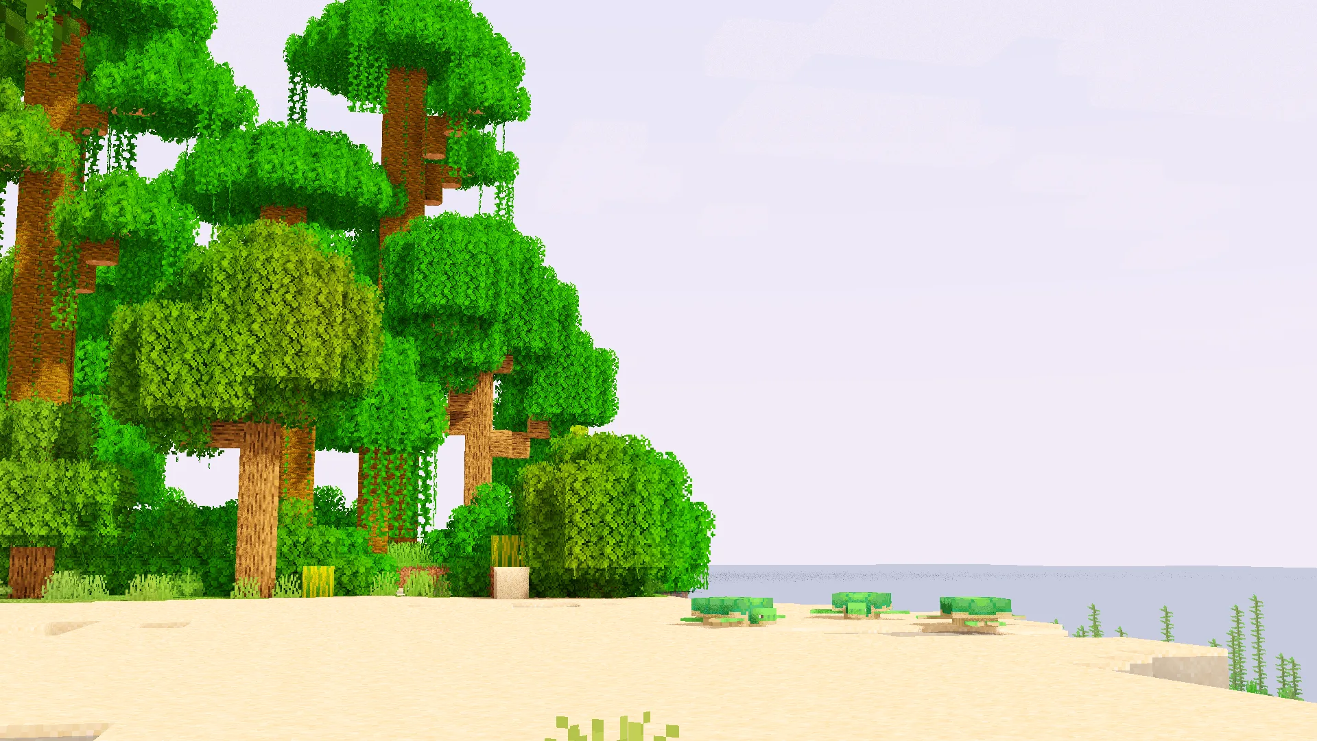 Джунгли с теплым океаном и черепахами.