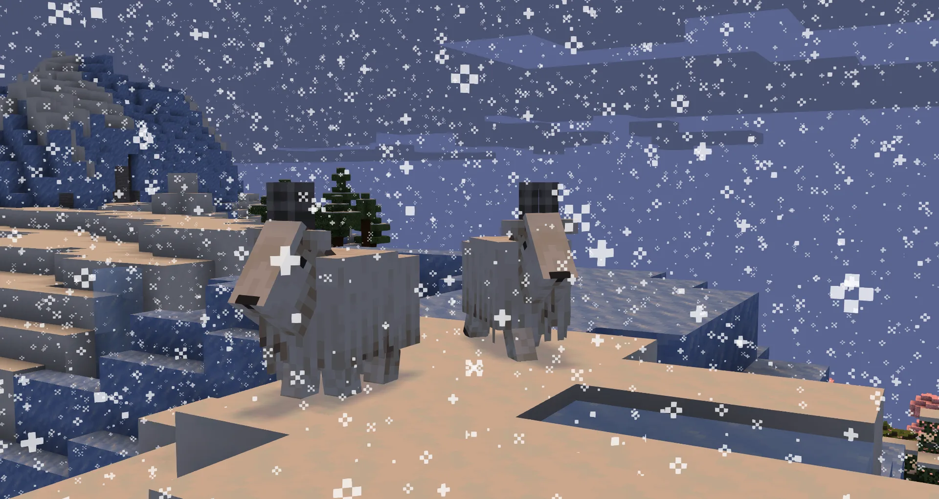 Тыква и козы в снегу.