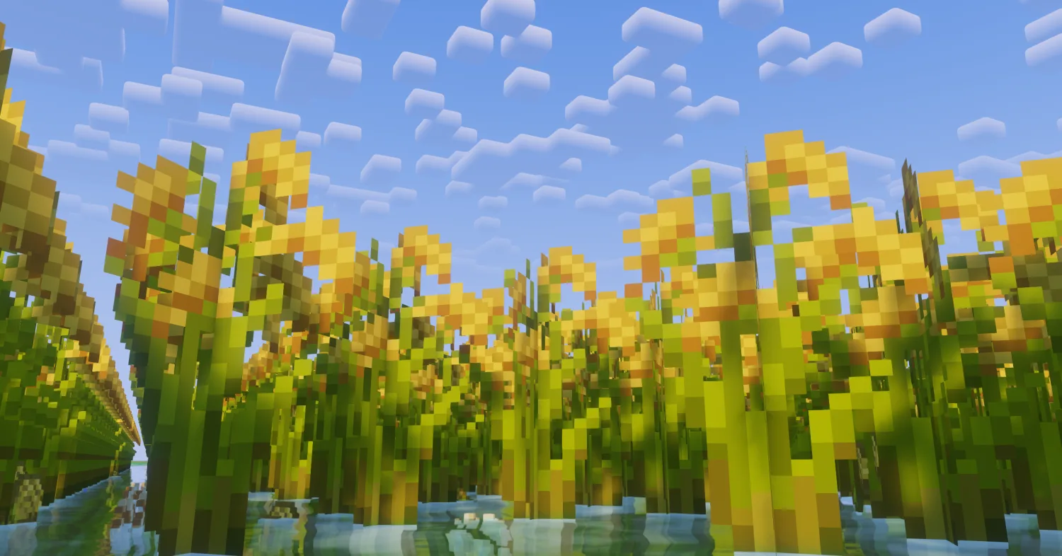 Рисовая ферма в Minecraft.