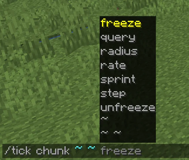 Команда /tick chunk в моде TickRate
