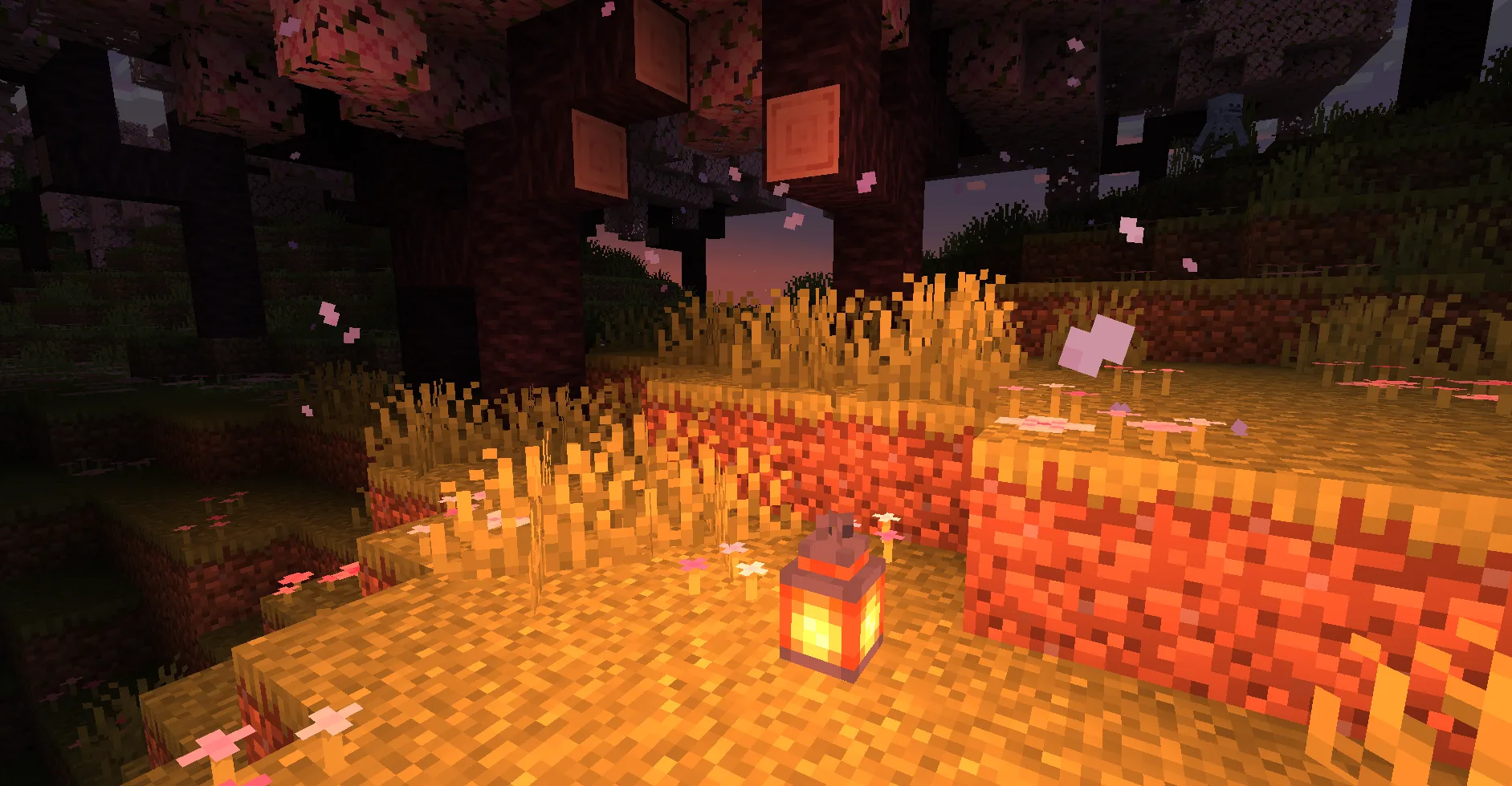 Фонарь в вишневой роще на закате.