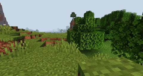 Листья деревьев колышутся на ветру.