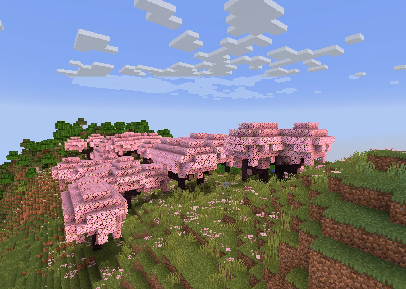 Вишневая роща в лучах утреннего солнца.