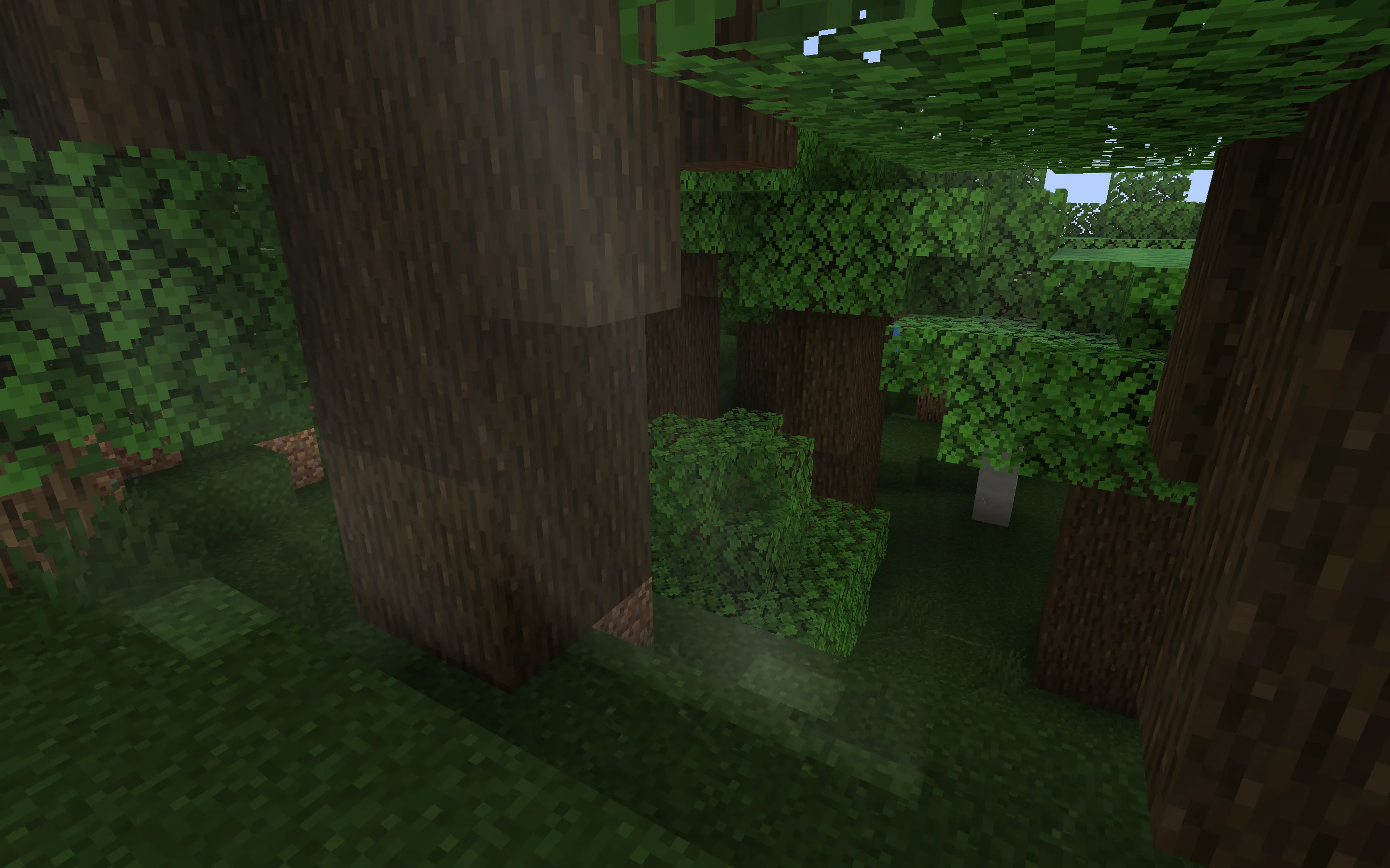 Ваниль расширенная: объемный солнечный свет в лесу.