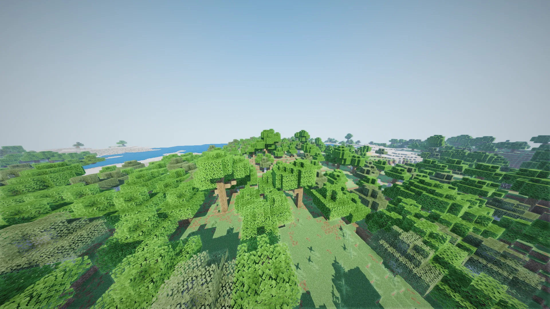 Равнинный лес днем с шейдерами Lumina Shaders