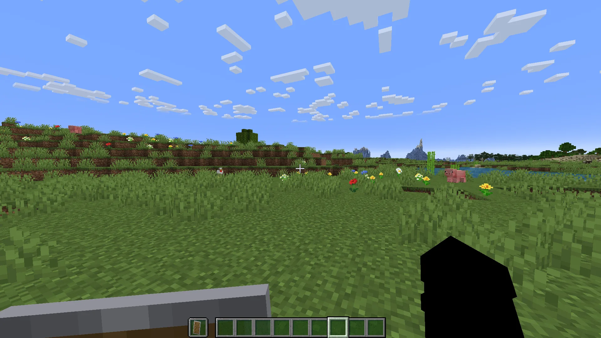 Уменьшенный щит в ресурс-паке Drako's Pack