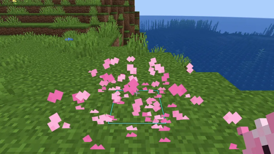 Измененные частицы лепестков вишни в Minecraft.