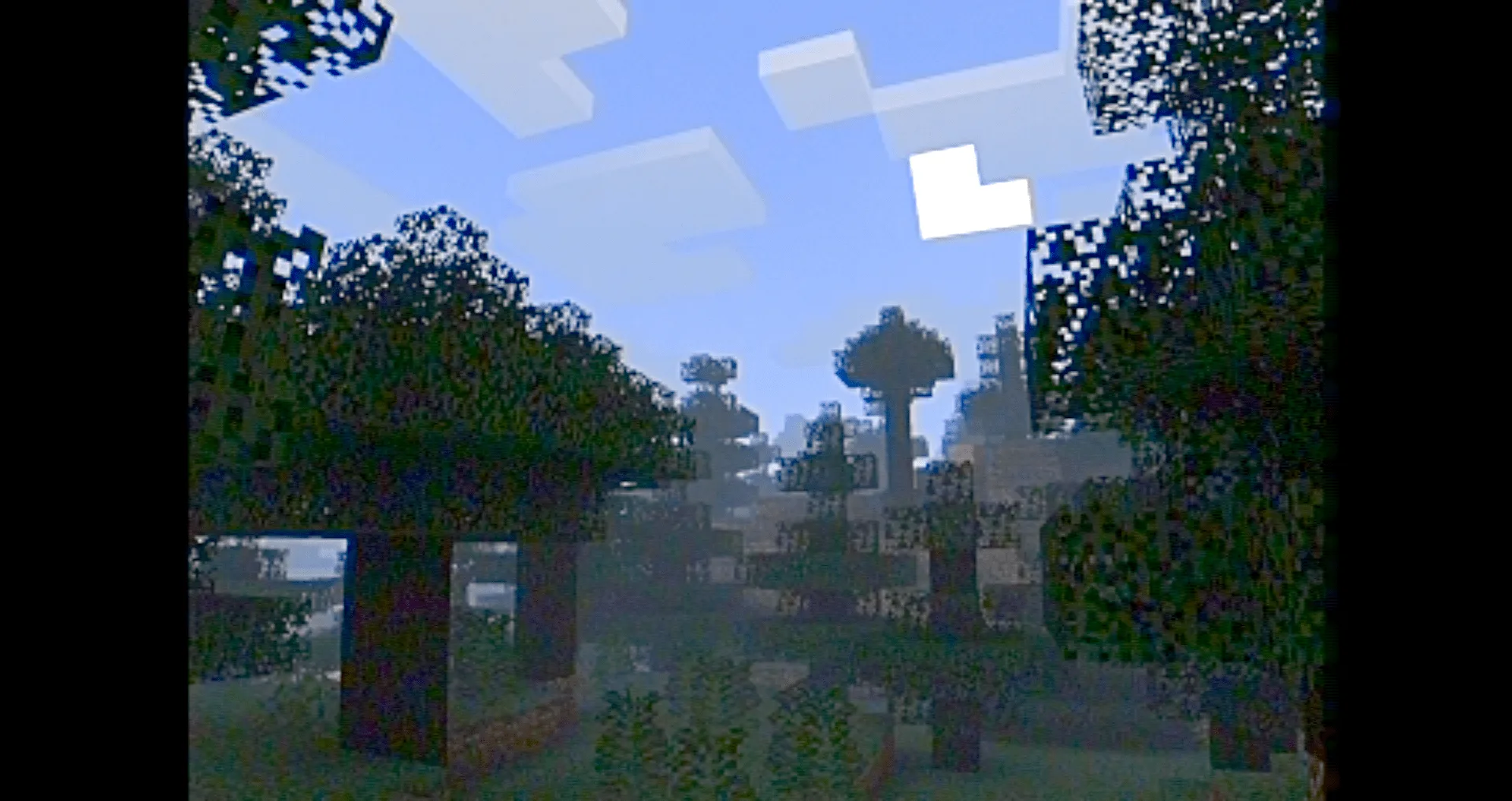 MC VHS: Туманный пейзаж в стиле VHS.