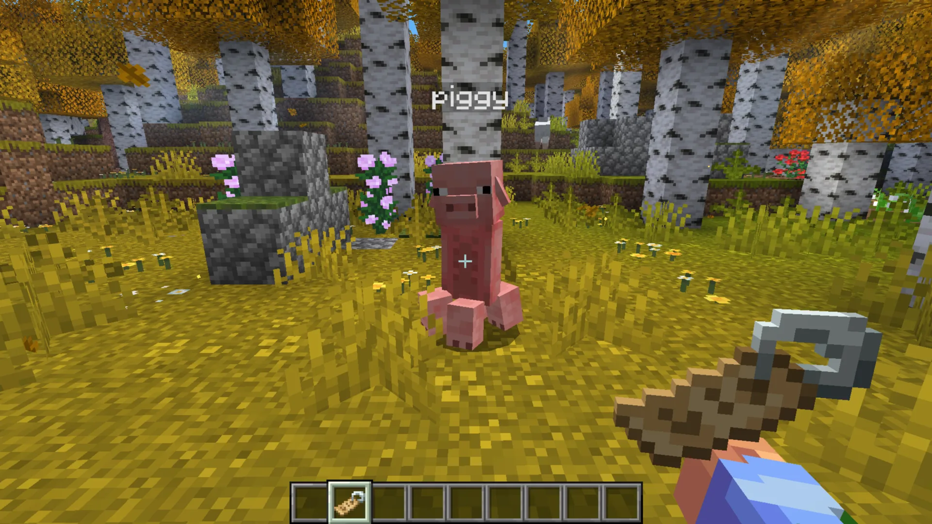 Крипер в виде свиньи с табличкой "piggyy".