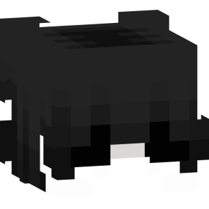 Черно-белый меланхолик - Голова