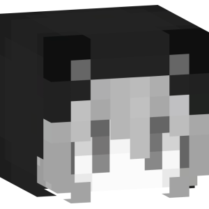 Черно-белая кошечка - Голова