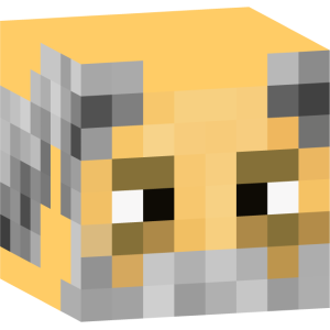 Седовласый странник в коричневом - Голова