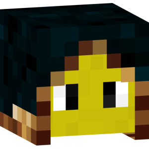 Таинственный странник в желтой маске - Голова