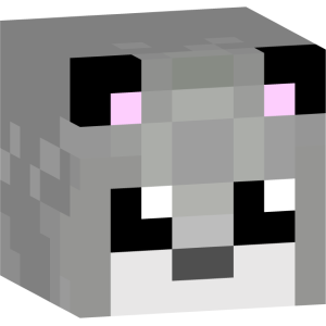 Милый серый котенок - Голова